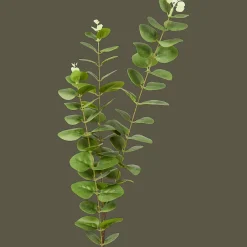 Action Excellent Flowers kunst-eucalyptus op steel