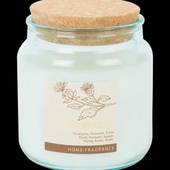 Action Geurkaars in glas