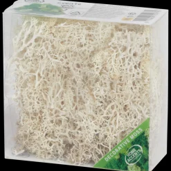 Action Home Accents decoratief mos