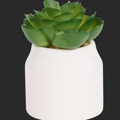 Action Home Accents kunstvetplantje in pot