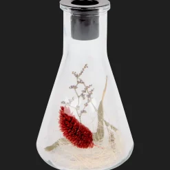 Action Kaarsenhouder met droogbloemen