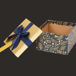 Action Kerst cadeaudoos