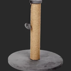 Action Krabpaal met speeltje