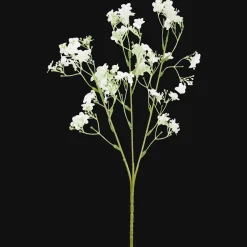 Action Kunstgipskruid