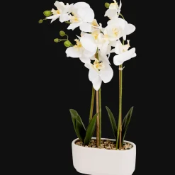 Action Kunstorchidee in pot