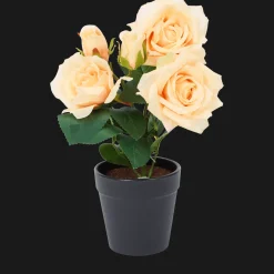 Action Kunstroos in pot