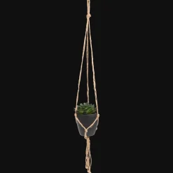 Action Kunst-vetplant in hangpotje