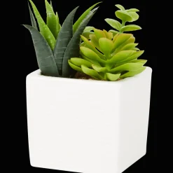 Action Kunst-vetplant in pot