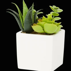 Action Kunst-vetplant in pot