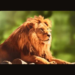 Action Teken- en knutselplacemat