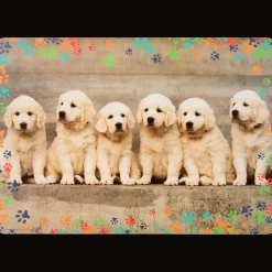 Action Teken- en knutselplacemat