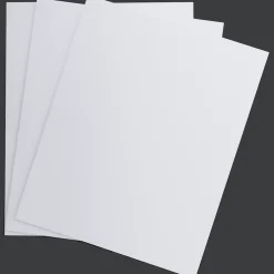 Van Bleiswijck schilderspanelen