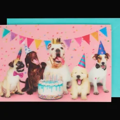 Action Wenskaart lenticulair met dieren